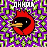 днюха 