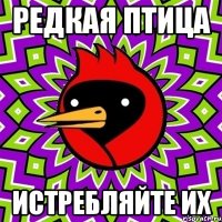 редкая птица истребляйте их