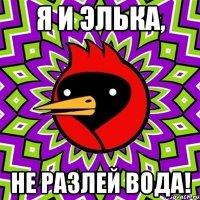 я и элька, не разлей вода!