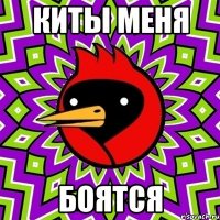 киты меня боятся