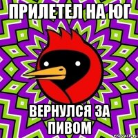 прилетел на юг вернулся за пивом