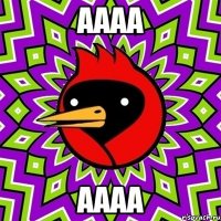 аааа аааа