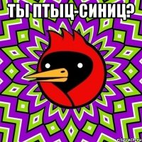 ты птыц-синиц? 