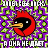 завел себе киску а она не дает