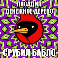 посадил денежное дерево срубил бабло