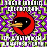 люблю гололёд: две ласточки, три сальто восемь шпагатов и я дома!