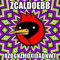 zcaldoebb ozqgnzmdxidadnwt
