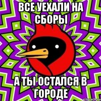все уехали на сборы а ты остался в городе