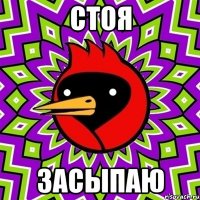 стоя засыпаю