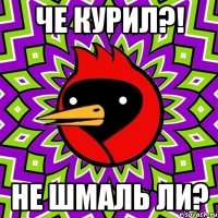 че курил?! не шмаль ли?