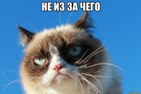 не из за чего 
