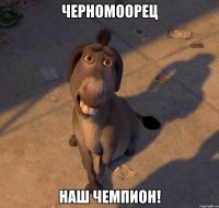 черномоорец наш чемпион!