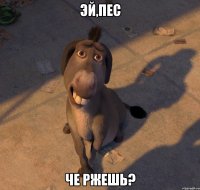 эй,пес че ржешь?