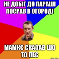 не добіг до параші посрав в огороді мамкє сказав шо то пес