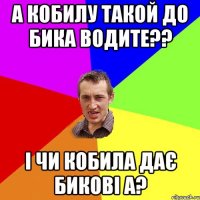 а кобилу такой до бика водите?? і чи кобила дає бикові а?