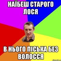 наїбеш старого лося в нього піська без волосся