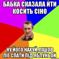 бабка сказала йти косить сіно ну його нахуй, пішов ліг спати під яблуньой