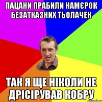 пацани прабили намєрок безатказних тьолачек так я ще ніколи не дрісірував кобру