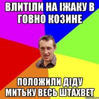 влитіли на іжаку в говно козине положили діду митьку весь штахвет