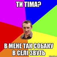 ти тіма? в мене так собаку в селі звуть