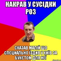 накрав у сусідки роз сказав малій шо спєциально їздив у київ за букєтом для неї