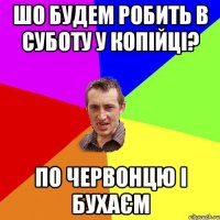 шо будем робить в суботу у копійці? по червонцю і бухаєм