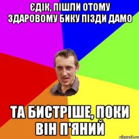 єдік, пішли отому здаровому бику пізди дамо та бистріше, поки він п'яний