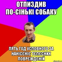 отпиздив по-сiнькi собаку пять год условного за нанiсєнiє тєлєсних поврєждєнiй