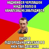 надивився черепашок нiндзя полiз в каналiзацiю,заблудився вилiз в пiдгородьньому.єбав я в нюх такi двiженiя