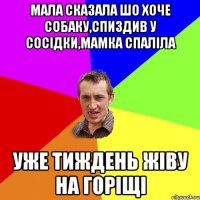 мала сказала шо хоче собаку,спиздив у сосідки,мамка спаліла уже тиждень жіву на горіщі