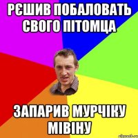 рєшив побаловать свого пiтомца запарив мурчiку мiвiну