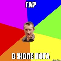 га? в жопе нога