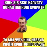 кінь зів всю капусту почав палкою хуярити то бля чуть кінь невбив своїм копитом по єбалу