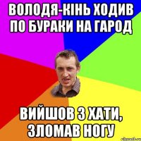 володя-кінь ходив по бураки на гарод вийшов з хати, зломав ногу