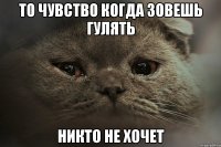 то чувство когда зовешь гулять никто не хочет