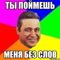 ты поймешь меня без слов