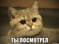  ты посмотрел