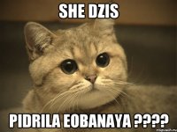 she dzis pidrila eobanaya ???