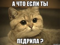 а что если ты педрила ?