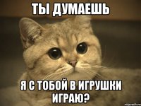 ты думаешь я с тобой в игрушки играю?