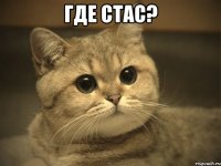 где стас? 