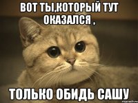 вот ты,который тут оказался , только обидь сашу