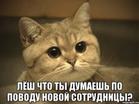  лёш что ты думаешь по поводу новой сотрудницы?