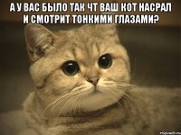 а у вас было так чт ваш кот насрал и смотрит тонкими глазами? 