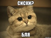 сиски? бля