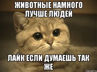 животные намного лучше людей лайк если думаешь так же