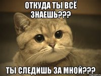 откуда ты всё знаешь??? ты следишь за мной???