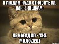 к людям надо относиться, как к кошкам: не нагадил - уже молодец!