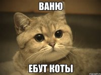 ваню ебут коты