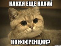 какая еще нахуй конференция?